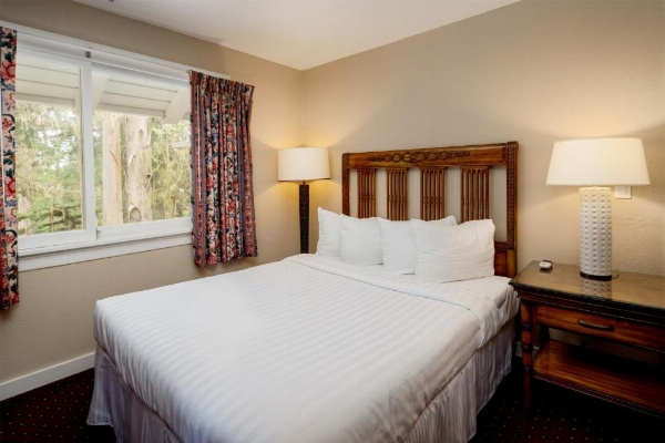 Butterfly Grove Inn image 19